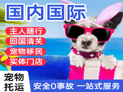 武汉天河机场物流国际宠物托运 【国